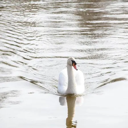 Βίλα Tasteful At The Loosdrechtse Plassen *